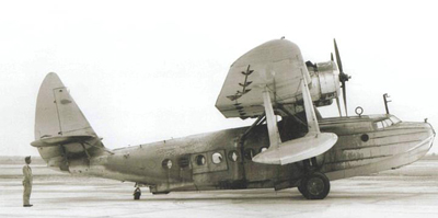 Боевое использование S-43 JRS/OA-8